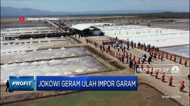 Jokowi Geram Ulah Impor Garam