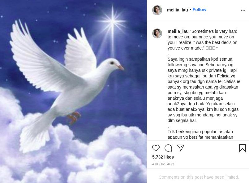 Unggahan Meilia Lau