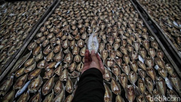 Melihat Sentra Pembuatan Ikan Asin di Demak