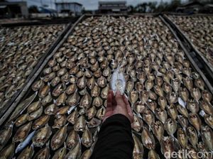 Melihat Sentra Pembuatan Ikan Asin di Demak