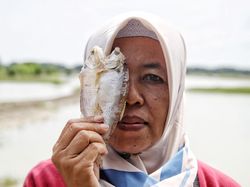 Kisah Masnuah Pelopor Pemberdayaan Nelayan Perempuan di Pesisir Demak