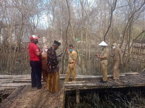 Ribuan Ulat Serbu Pesisir Demak Dinilai Gegara Maraknya Perburuan Burung Ribuan Ulat Serbu Pesisir Demak Dinilai Gegara Maraknya Perburuan Burung