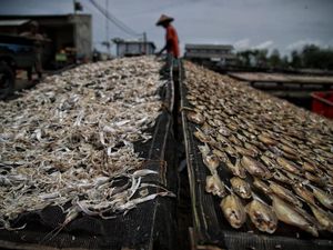 Sektor Kelautan & Perikanan Demak Sumbang Pendapatan Daerah Rp 1,12 M