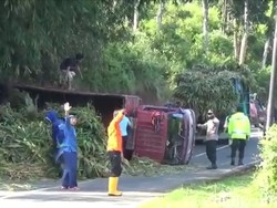 Lagi, Truk Muatan Pakan Sapi Terguling di Tanjakan Cae Sumedang