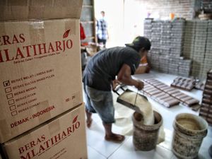 Tanam Padi Semi Organik, Petani Milenial Produksi Beras Harga Jual Tinggi