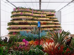 Fitur 1 Miliar Warna Find X3 Pro Lengkapi Experience di OPPO Gallery