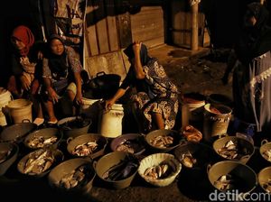 Hiruk Pikuk Pasar Ikan Gandong Demak