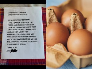 Jenius! Ini Trik Cerdas Tangkap Pencuri Makanan di Kantor Jenius! Ini Trik Cerdas Tangkap Pencuri Makanan di Kantor