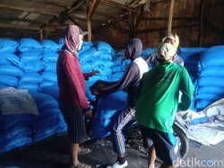 Pemerintah Putuskan Impor, Ini Respons Petambak Garam Cirebon