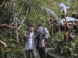 Dukung Kampung Sehat 2, Kebun Binatang di NTB Buka dengan Prokes Ketat
