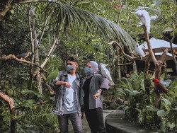 Dukung Kampung Sehat 2, Kebun Binatang di NTB Buka dengan Prokes Ketat