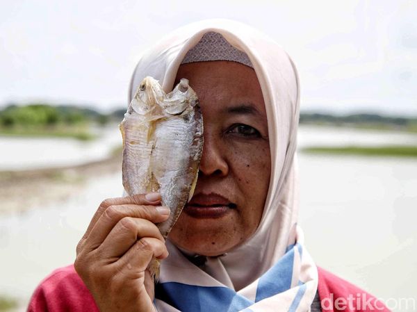 Sosok Tangguh Pelopor Nelayan Wanita di Demak
