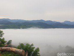Menikmati Keindahan Wisata Awan Uhai Sibali di Polman