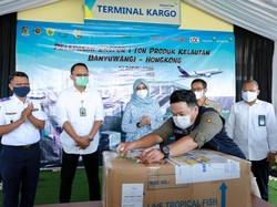 Bandara Banyuwangi Kini Layani Kargo Ekspor