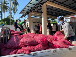 Bebas OPTK, 17 Ton Bawang Merah Sitaan Dihibahkan ke Pesantren-Pemkab di Aceh