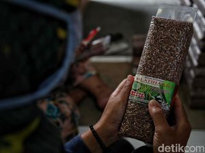 Beras Hitam dan Beras Merah Produk Unggulan Desa Mlatiharjo