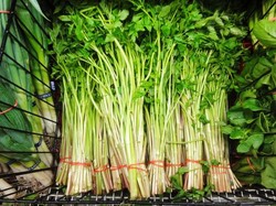 5 Fakta Sayur Minari, yang Menginspirasi Film Korea Minari