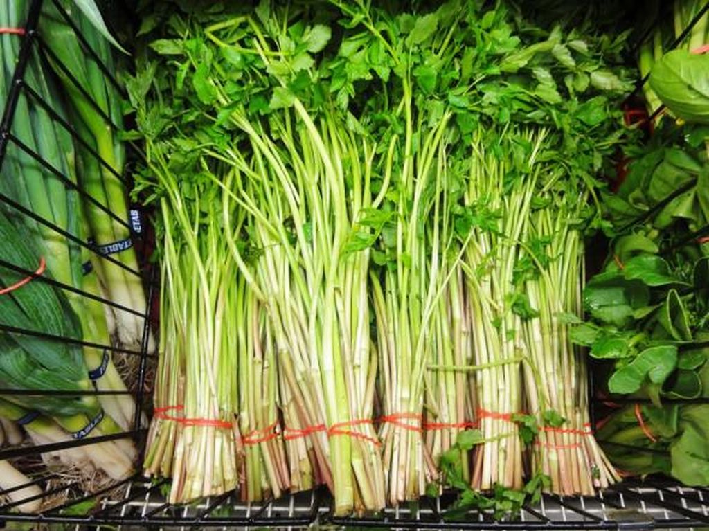 5 Fakta Sayur Minari, yang Menginspirasi Film Korea Minari 5 Fakta Sayur Minari, yang Menginspirasi Film Korea Minari