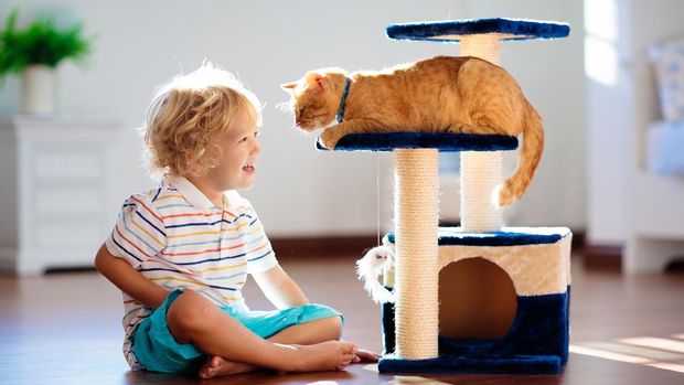 ilustrasi anak bermain dengan kucing Ciptakan aktivitas yang menyenangkan dengan kucing merupakan salah satu tips feng shui rumah agar anabul ini nyaman.