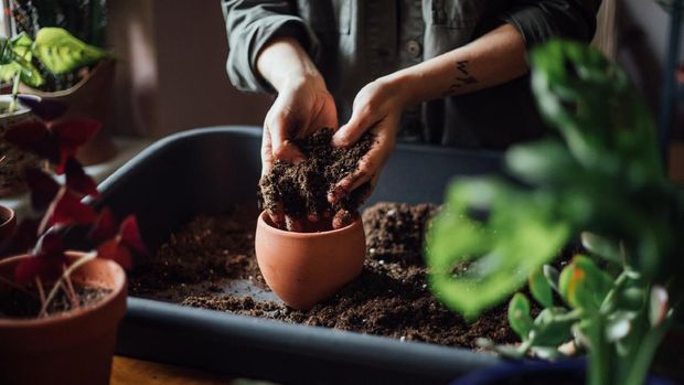 Close up shot of hands working with soil