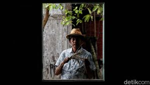 Ini Sosok di Balik Padi Semi Organik yang Punya Harga Jual Tinggi