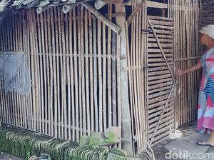 Nyaris 200 Unggas Milik Warga di Klaten Mati Mendadak Nyaris 200 Unggas Milik Warga di Klaten Mati Mendadak