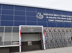 KKP Dorong Biak Numfor Papua Jadi Daerah Pengekspor Ikan