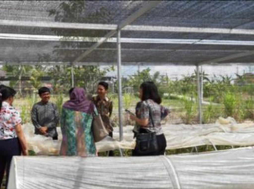 Menumbuhkan Wirausaha Pertanian Menumbuhkan Wirausaha Pertanian