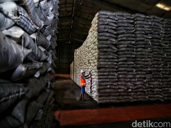 Ironi Beras Bulog di Tengah Isu Impor dari Pemerintah