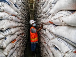 Ini Jurus Pemda DIY Jika Pemerintah Pusat Impor Beras Saat Masa Panen