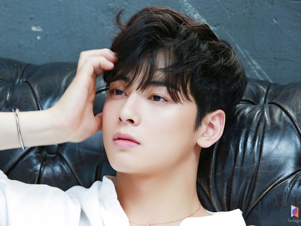 10 Perjalanan Karier Cha Eun Woo, Face Genius yang Berulang Tahun ke-24 10 Perjalanan Karier Cha Eun Woo, Face Genius yang Berulang Tahun ke-24