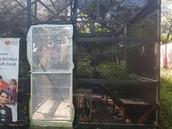 Sukseskan Kampung Sehat 2, Sumbawa Besar Hadirkan Rumah Bibit Herbal