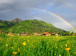 4 Interaksi yang Terjadi dalam Lingkungan Alam, Ini Penjelasannya