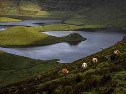 10 Konsep Geografi: Penjelasan dan Contohnya