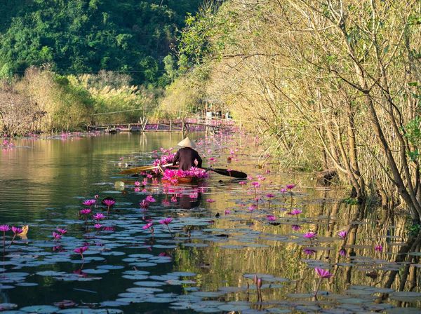 Wow! Sungai Ini Beraroma Minyak Wangi