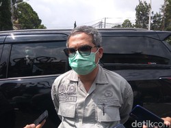 Wamentan Kurang Setuju dengan Rencana Impor 1 Juta Ton Beras