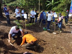 2.151 Hektare Lahan di Jabar-Banten Kritis, Ini Langkah PTPN VIII