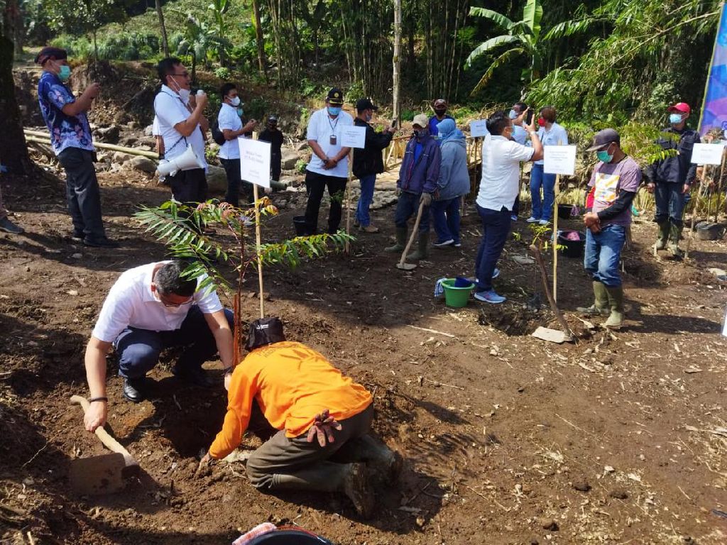 2.151 Hektare Lahan di Jabar-Banten Kritis, Ini Langkah PTPN VIII 2.151 Hektare Lahan di Jabar-Banten Kritis, Ini Langkah PTPN VIII