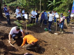 2.151 Hektare Lahan di Jabar-Banten Kritis, Ini Langkah PTPN VIII 2.151 Hektare Lahan di Jabar-Banten Kritis, Ini Langkah PTPN VIII