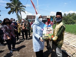 Bupati Ipuk Kembali Ngantor di Desa, Keliling Kawasan Lereng Gunung Raung