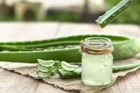 Bermanfaat Buat Kulit, Ini 4 Resep Mudah Dan Cara Mengaplikasikan Aloe ...