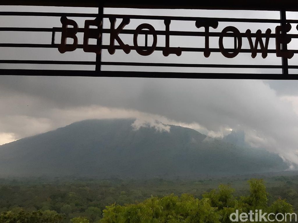 Bekol Tower, Tempat Sempurna untuk Nikmati Taman Nasional Baluran Bekol Tower, Tempat Sempurna untuk Nikmati Taman Nasional Baluran