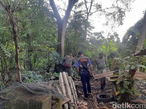 Ulat Bulu Teror Warga Surabaya, Bikin Anak Kecil Gatal-gatal