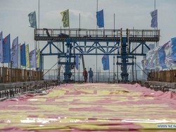 Progres Kereta Cepat Jakarta-Bandung Capai 73%, Akhir 2022 Uji Coba