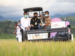 BPS Sebut Ekspor Pertanian Maret 2021 Meningkat Dua Digit