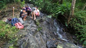 Serunya Belajar Mengenal Alam di Pegunungan Menoreh