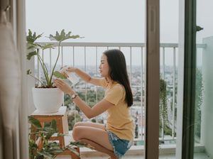 4 Cara Merawat Tanaman Hias Indoor: Ketahui Waktu Menyiram Hingga Pupuknya