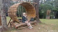Foto: Hutan Pinus di Lereng Muria yang Cocok Buat Liburan di Kudus