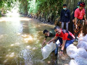 Aksi Tebar Ikan di Kali Pesanggrahan