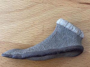 Kumpulan Foto Ilusi yang Menipu Mata Anda